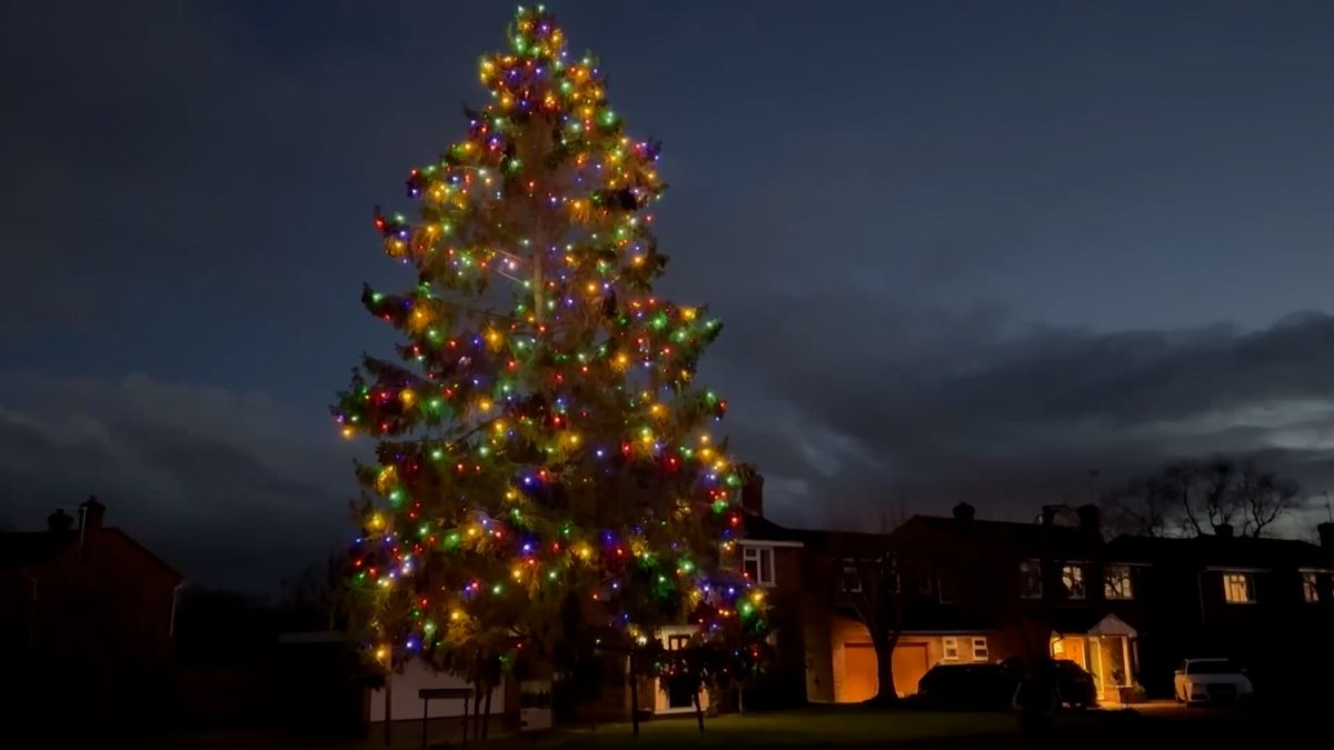 Před 46 lety ji spolu zasadili. Letos je 15metrová jedle ozdobena na manželovu památku